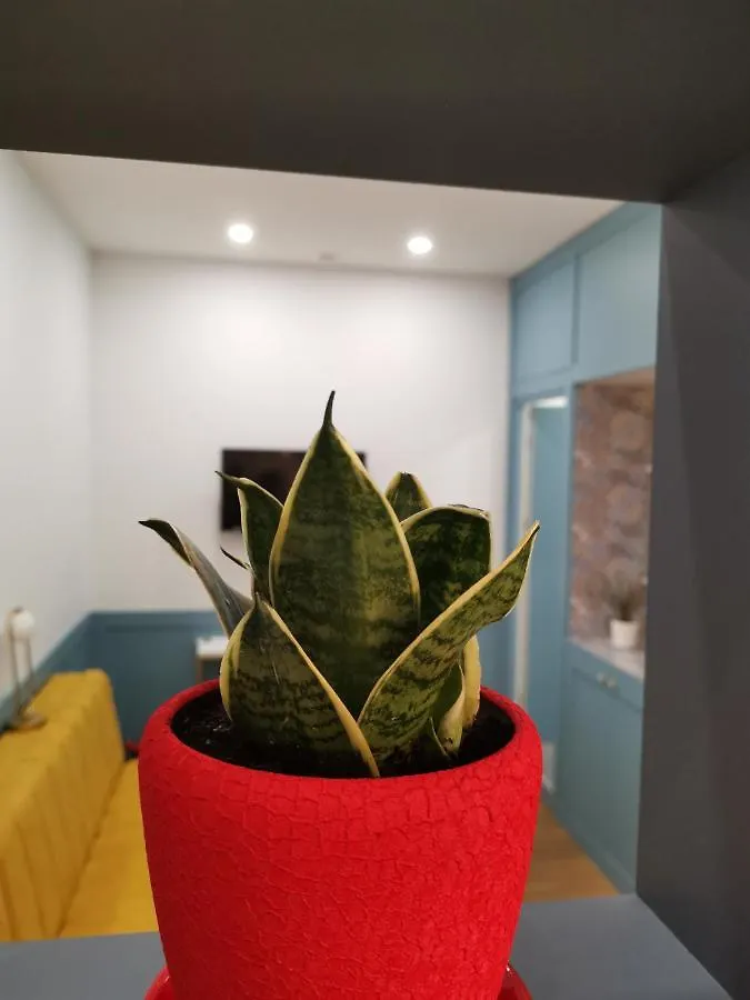 3 Rooms Hotel 第比利斯